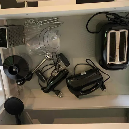 فيلة Experience The Forest And Sea