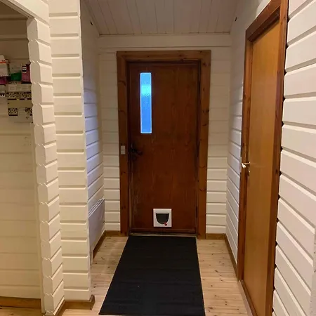 Experience The Forest And Sea