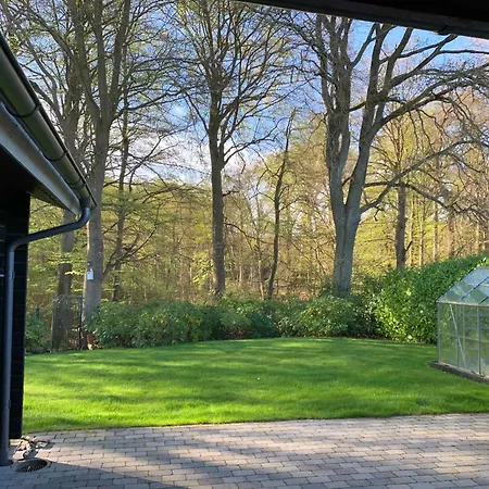 Experience The Forest And Sea Villa