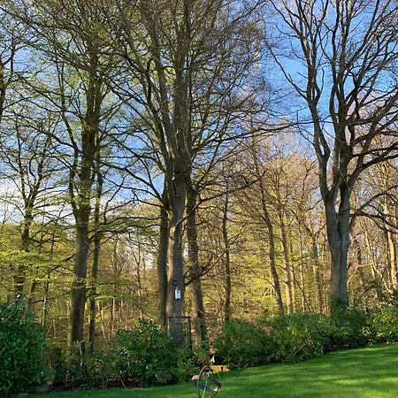 Experience The Forest And Sea Villa Ålsgårde