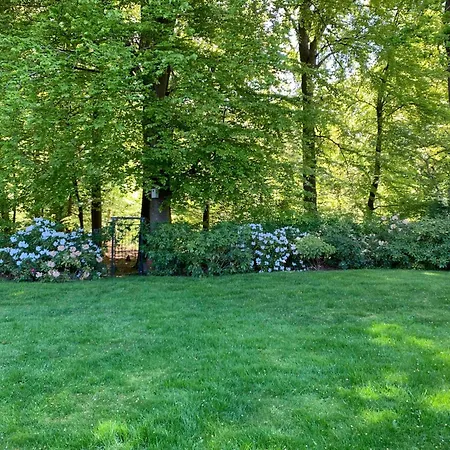 Experience The Forest And Sea * Ålsgårde