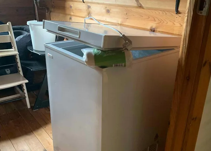 Experience The Forest And Sea