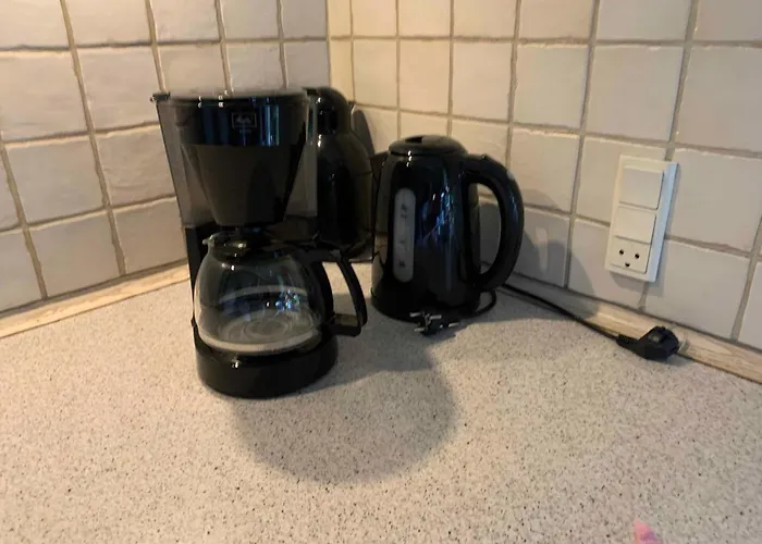 Experience The Forest And Sea