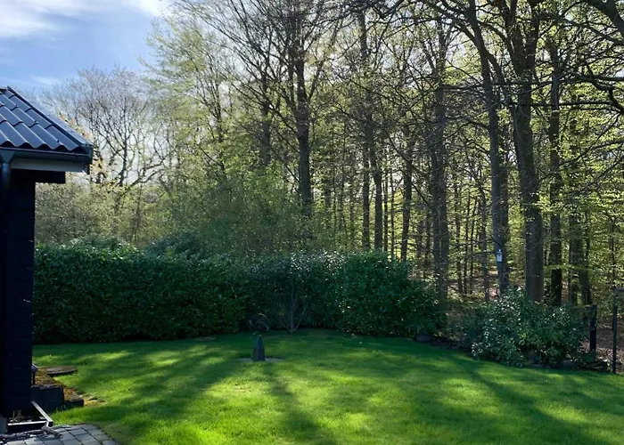 Experience The Forest And Sea Villa Ålsgårde